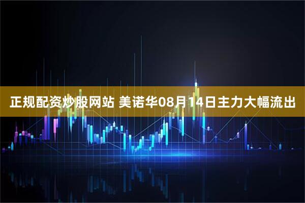 正规配资炒股网站 美诺华08月14日主力大幅流出
